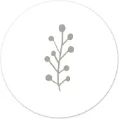Label2X Muurcirkel leaf wit