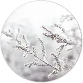 Label2X Muurcirkel snowy twig