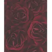 Rasch Vliesbehang Crispy Paper 525625 rozen rood