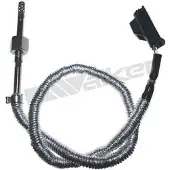 VEGAZ FTS-325ERNS Uitlaat middendemper