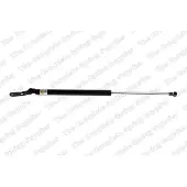 LESJÖFORS 8162035 Gasveer achterklep