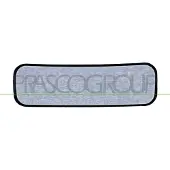 PRASCO FT9267515 Spiegelglas, buitenspiegel