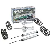 H&R 31017-1 Schokdemper met veer