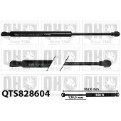 Quinton Hazell QTS828604 Gasveer motorkap