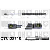 Quinton Hazell QTS128718 Gasveer achterklep