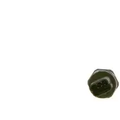 Bosch 0 281 006 350 Brandstofdruksensor