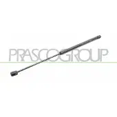 PRASCO ME3209055 Gasveer achterklep