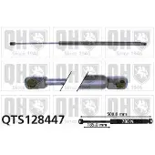 Quinton Hazell QTS128447 Gasveer achterklep