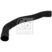 FEBI BILSTEIN 101070 Radiateurslang