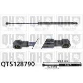 Quinton Hazell QTS128790 Gasveer achterklep
