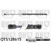 Quinton Hazell QTS128615 Gasveer achterklep