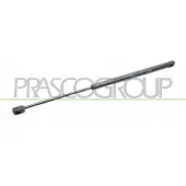 PRASCO RN0239055 Gasveer achterklep