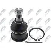 NTY ZST-MS-005 Fuseekogel