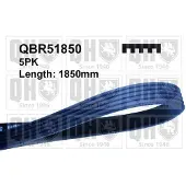 Quinton Hazell QBR51850 Multiriem