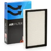 Champion CAF101064P Luchtfilter