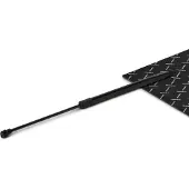 RIDEX 219G1069 Gasveer achterklep