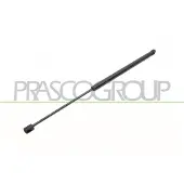 PRASCO FD3449055 Gasveer achterklep