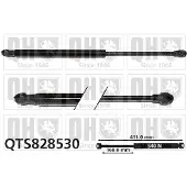 Quinton Hazell QTS828530 Gasveer achterklep