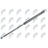 NTY AE-DW-000 Gasveer achterklep