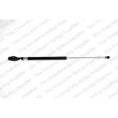 LESJÖFORS 8155418 Gasveer achterklep