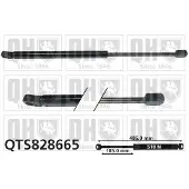 Quinton Hazell QTS828665 Gasveer achterklep