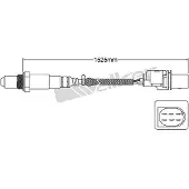 VEGAZ ULS-397 Lambdasonde