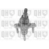 Quinton Hazell QSJ2118S Fuseekogel