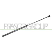 PRASCO FD4289055 Gasveer achterklep