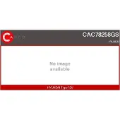 Casco CAC78258GS Aircopomp