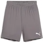 Puma GOAL Training Short Kids