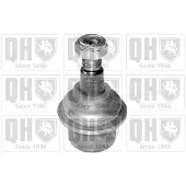 Quinton Hazell QSJ1890S Fuseekogel