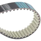 DAYCO Distributieriem 94885