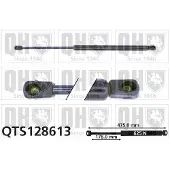 Quinton Hazell QTS128613 Gasveer achterklep