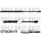 Quinton Hazell QTS828479 Gasveer achterklep