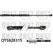 Quinton Hazell QTS828315 Gasveer achterklep