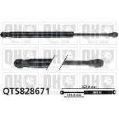 Quinton Hazell QTS828671 Gasveer achterklep