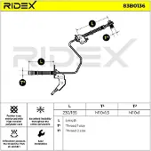 RIDEX 83B0136 Remslang