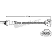 VEGAZ ULS-427 Lambdasonde