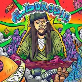 Coast2Coast Alborosie - Dub Pirate (LP)