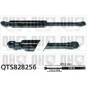 Quinton Hazell QTS828256 Gasveer, dak