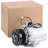 RIDEX 447K0096 Aircopomp