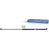 DT Spare Parts 1.23364 Gasveer achterklep