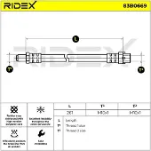 RIDEX 83B0669 Remslang