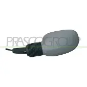 PRASCO Buitenspiegel FD0067124