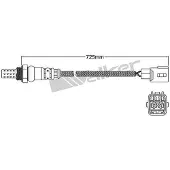 VEGAZ ULS-736 Lambdasonde