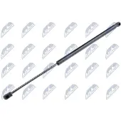 NTY AE-FR-025 Gasveer achterklep