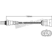 VEGAZ ULS-166 Lambdasonde