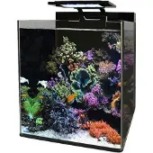 Aquadistri Bm reef 60 aquarium Blue Marine