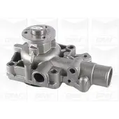Graf PA1161 Waterpomp