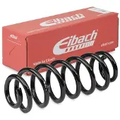 EIBACH R10768 Chassisveer